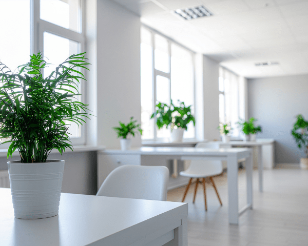 Bright open-plan office with white desks and multiple potted green plants along the windows.