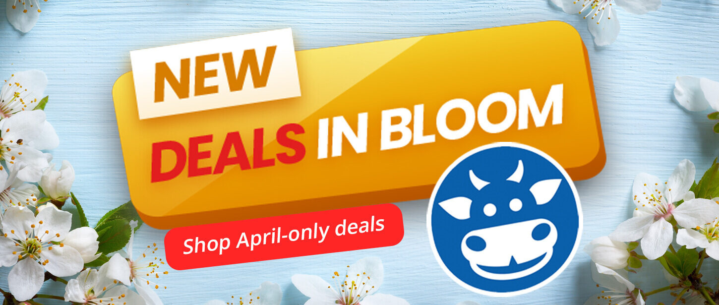 A blue wooden background, surrounded on the edges with white blossoms with Porter's Blue Cow. Text reads, "New deals in bloom! Shop April-only deals."